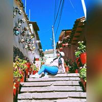rosa_sm04