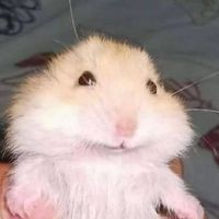 オリジナル楽曲 - ru._.ruだにょ(だいじろーくん推し🎀)