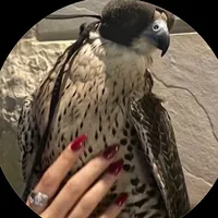 original sound - mmn31144