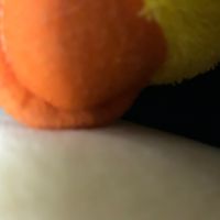 เสียงต้นฉบับ - ป้าตือ✨🤏🏻