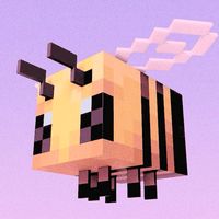 booksdr