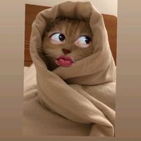suara asli - Sulis🍒