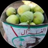 zyoud08