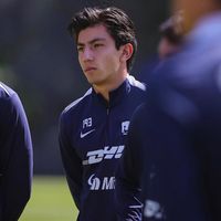 hector_rmz04