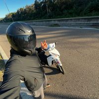 ruiznico989
