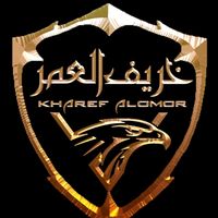 ali_85sl