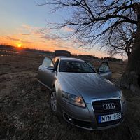 oleg_rogulchik_2k25