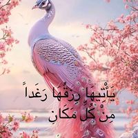 meryam5u6whqp5