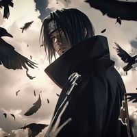 dafo_nb666