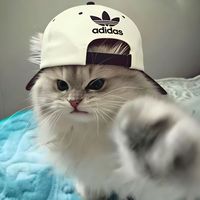 suara asli - 02