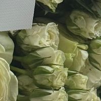 jeddah_57
