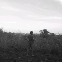 vanxx551