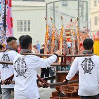 dses_8787