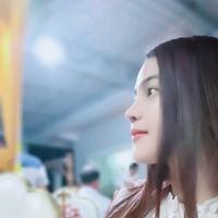 sinet_k
