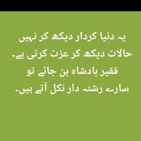 rajaali7891