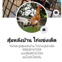 เสียงต้นฉบับ - @สุ้มหลังบ้าน ไก่บ้านๆมีลําเด็ด