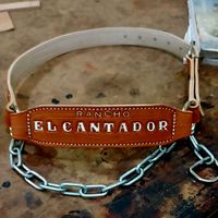 elcantador04