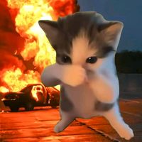 suara asli - KALZzz 👾
