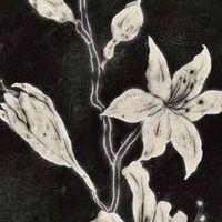 nhạc nền - Chill With Me 🎶