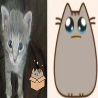 pongan créditos gente