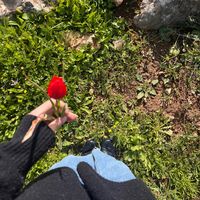areej.4567