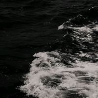bunyi asal - Ed_eel551