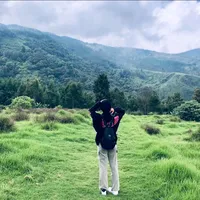 original sound - dinnduyss