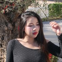 im_pp04