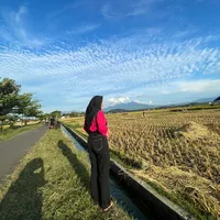 original sound - _wwternta22