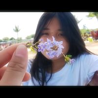 original sound - ᠌