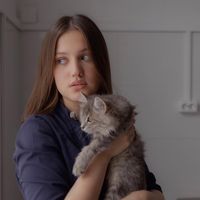 оригинальный звук