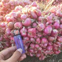 simerah_.99_