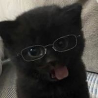 suara asli - むりや
