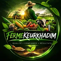 original sound - fermekeurkhadim0