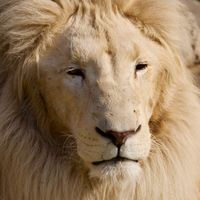 yerevan_zoo