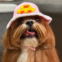 hannashihtzuuu