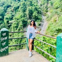 nysha338
