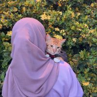 izztishrdn