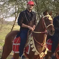 original sound - shujagujjaradv