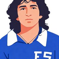 cachorrosport3