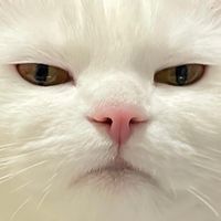 sadclub_8