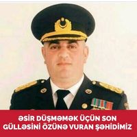 81sahin41