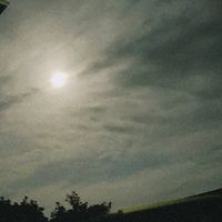 オリジナル楽曲 - 🐊