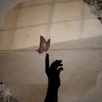 original sound - karloos.edits