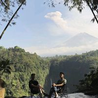 suara asli - person