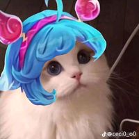 kim.mlbb2