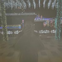 yellwo5rira