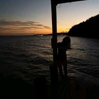 rex_2910