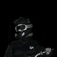 gertmvx