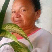 mariafirmo267gmail.com